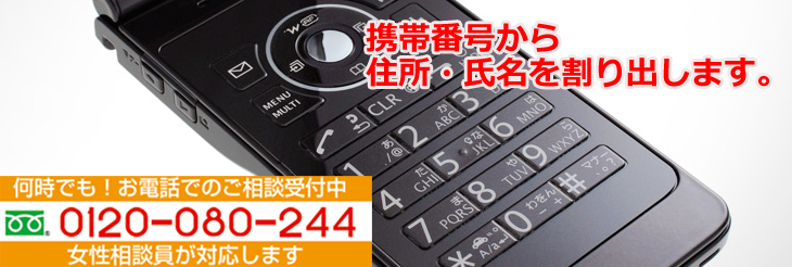 �g�єԍ������@�i���F���C����̏Z��